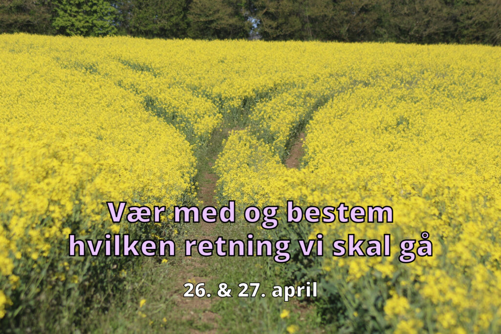 En gul blomstereng med hjulspor som går framver og så deler seg i to ulike retninger. Over bildet er teksten "Vær med og bestem hvilken retning vi skal gå. 26. og 27. april". 